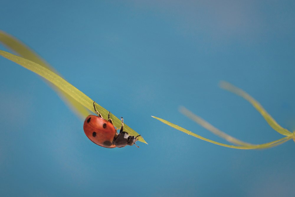 Photograph by Татьяна Пименкова