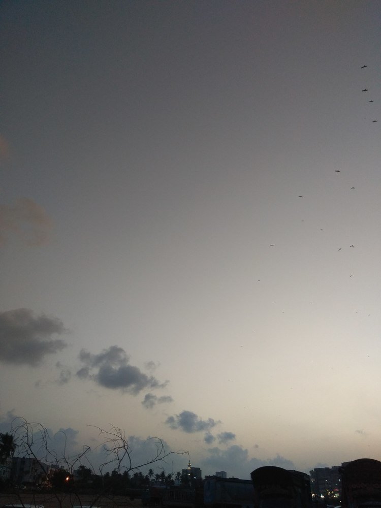 Photograph by Mohammed Hasan Humayun