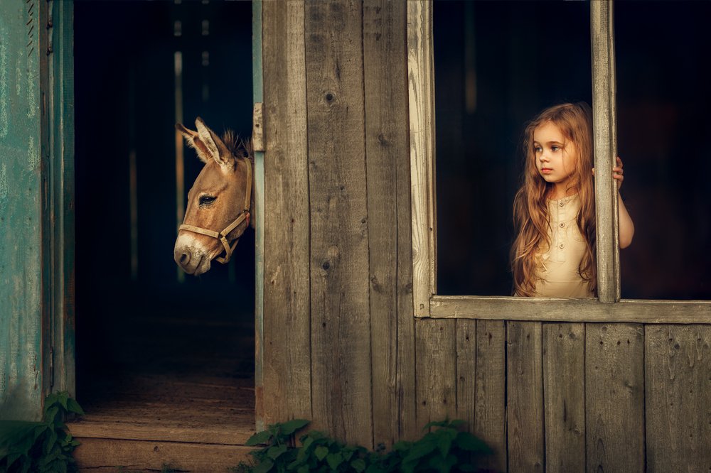 Photograph by Костюк Зоя