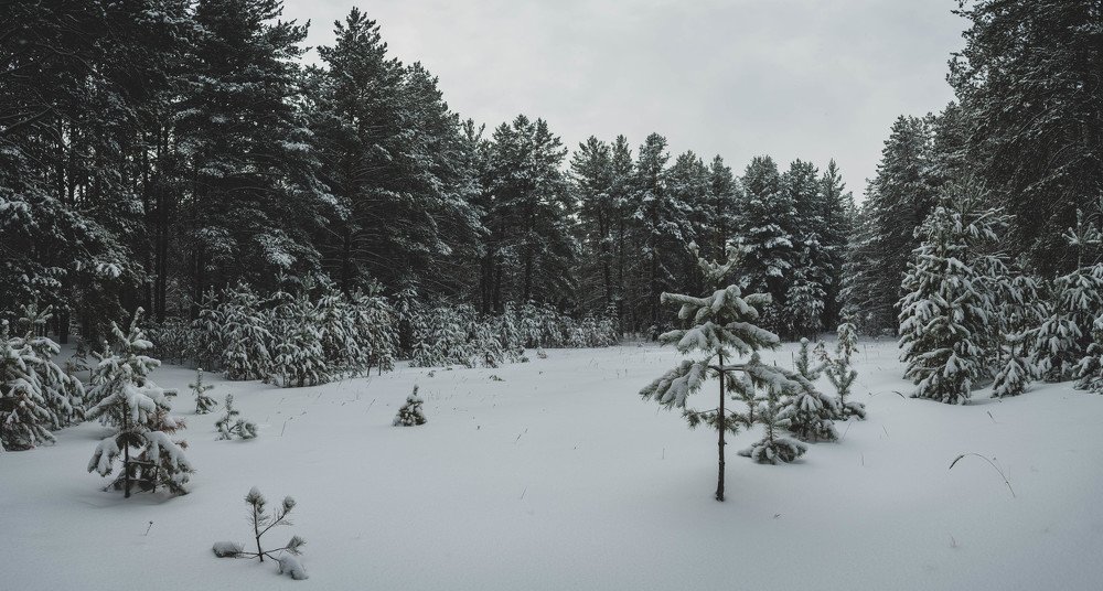 Photograph by Денис Кошкин