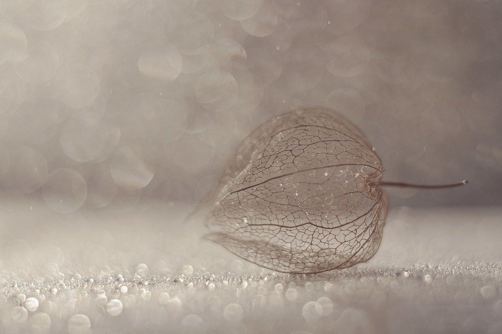 Photograph by Нурият Аллаярова