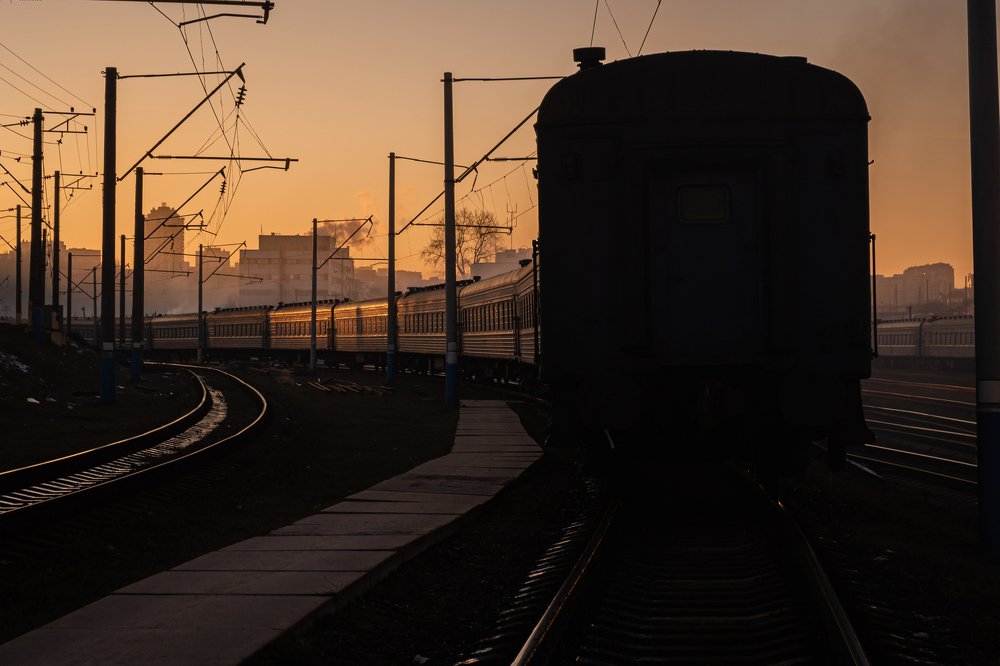 Photograph by Nikita Zander