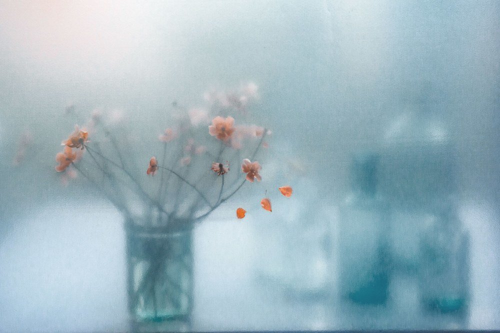 Photograph by Нурият Аллаярова