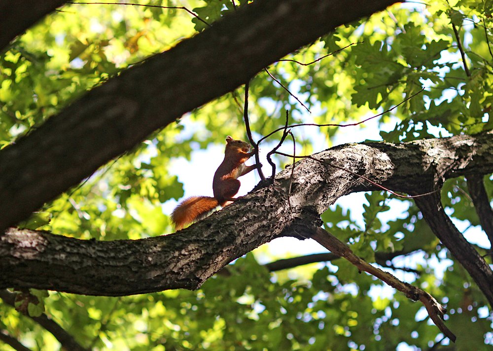 Photograph by Мария Некрасова