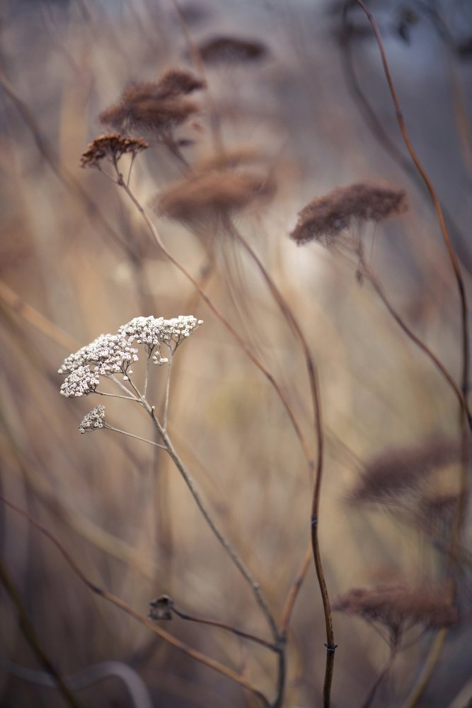 Photograph by Михаил Щеглов