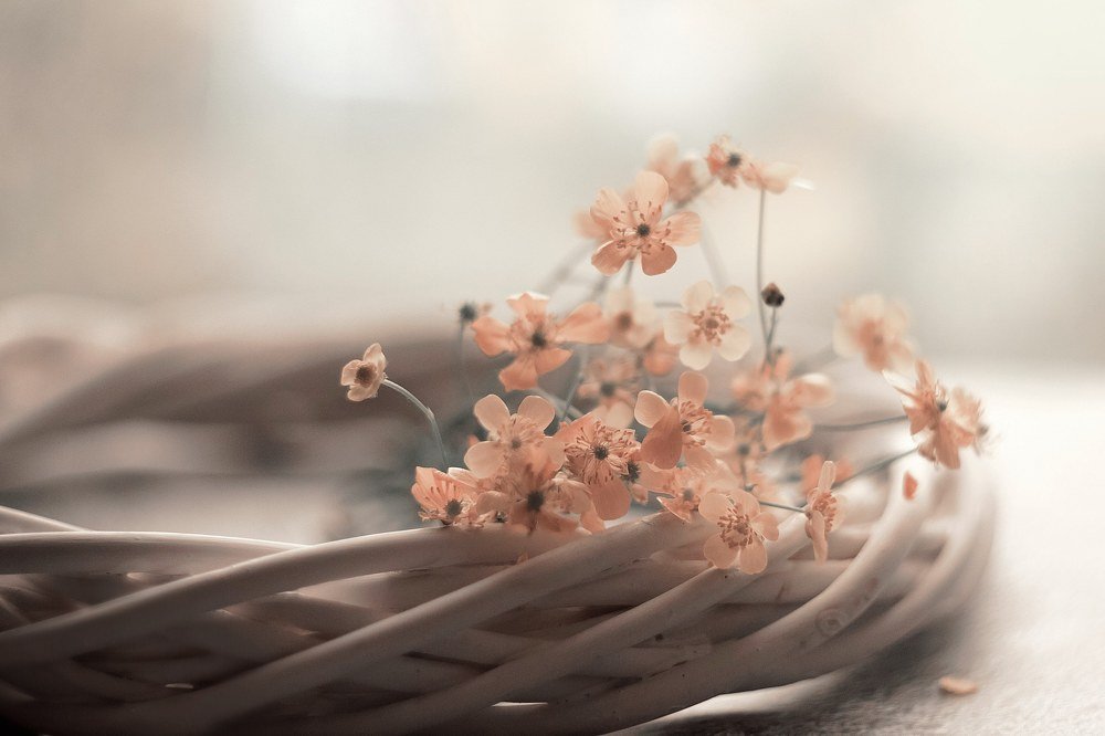 Photograph by Нурият Аллаярова