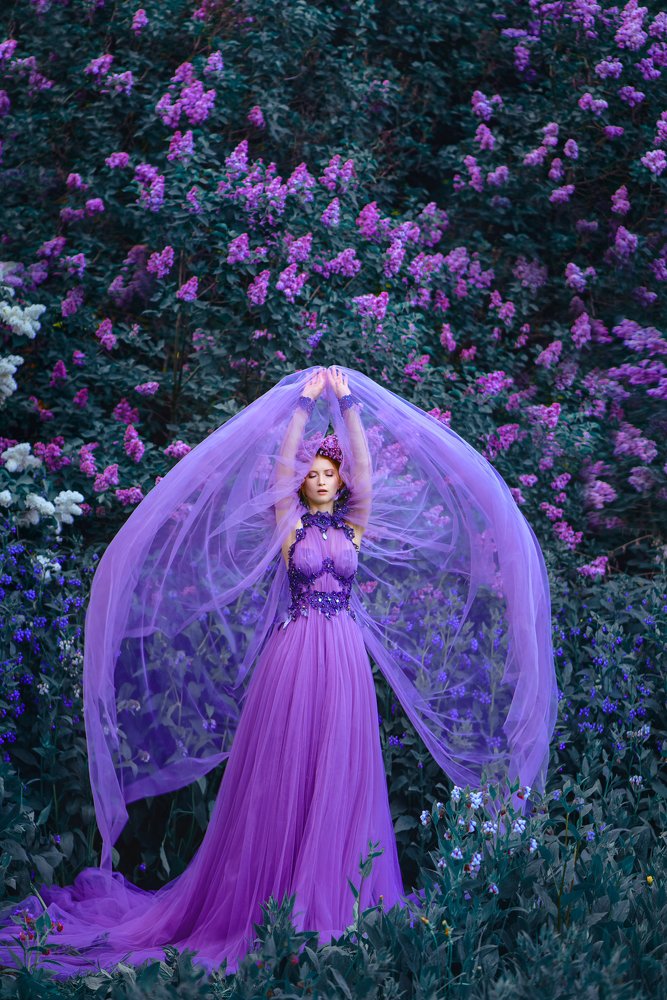 Lilac dreams