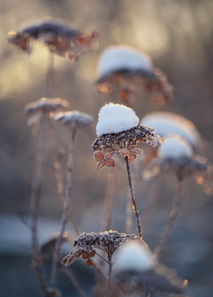 Photograph by Михаил Щеглов