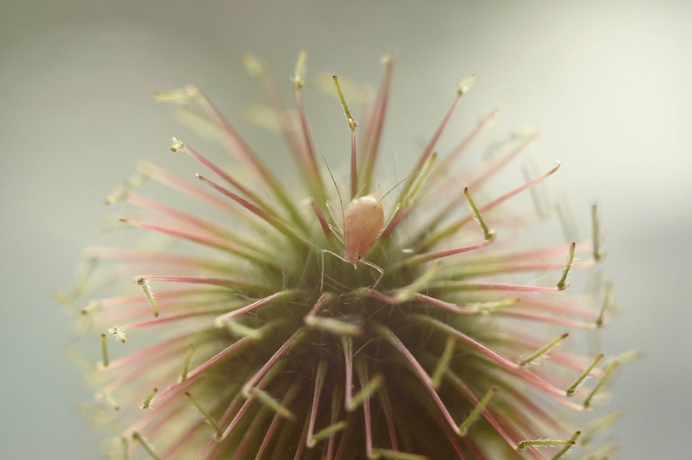 Photograph by Нурият Аллаярова