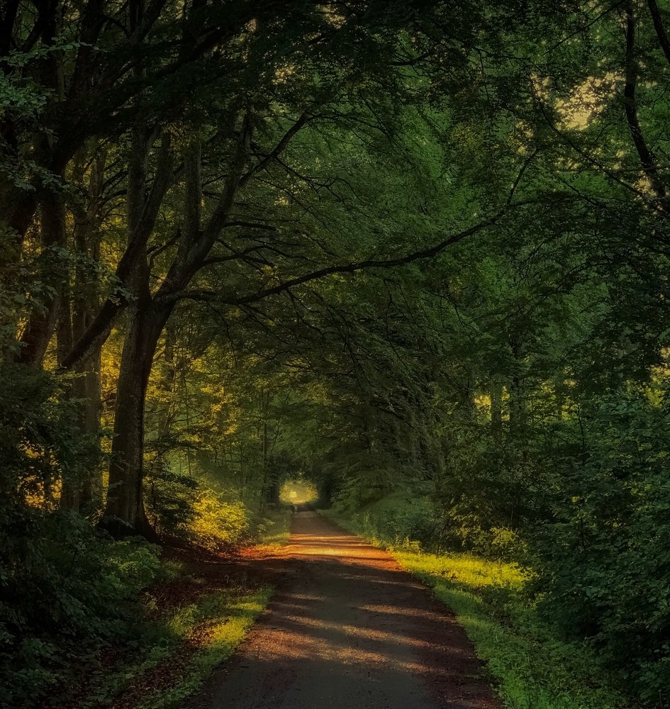 Photograph by Daniel Yelisieiev