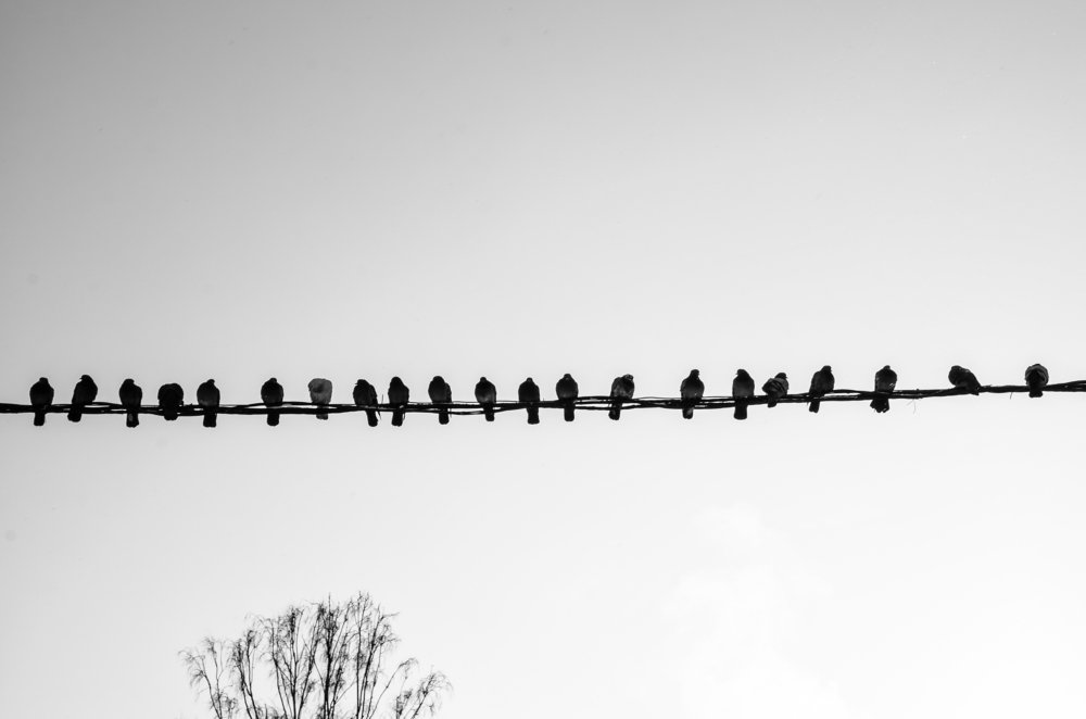 Морозный день