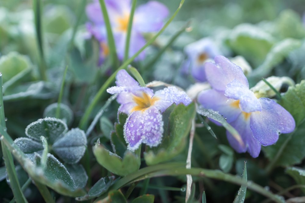 Photograph by Елена Абдураманова