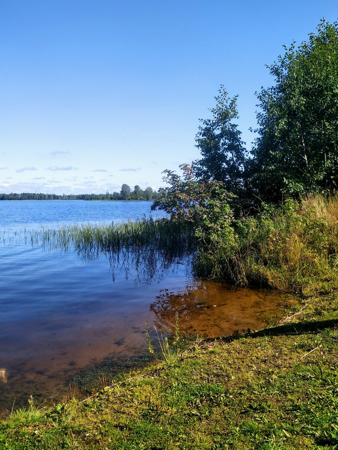 Photo #4412029