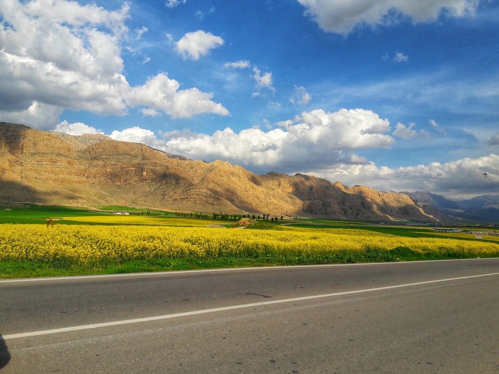 Photograph by Behnoosh janghorban