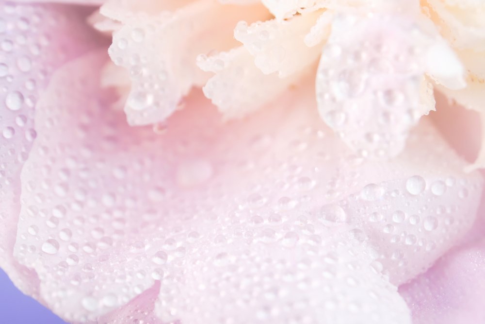 Photograph by Елена Абдураманова