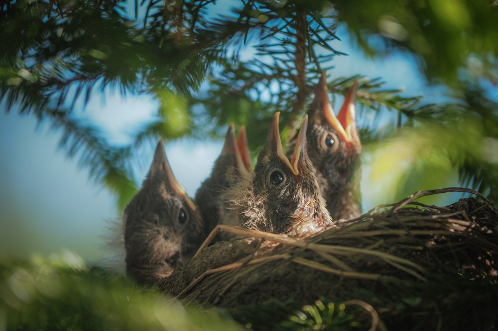 Photograph by Евгения Муравская