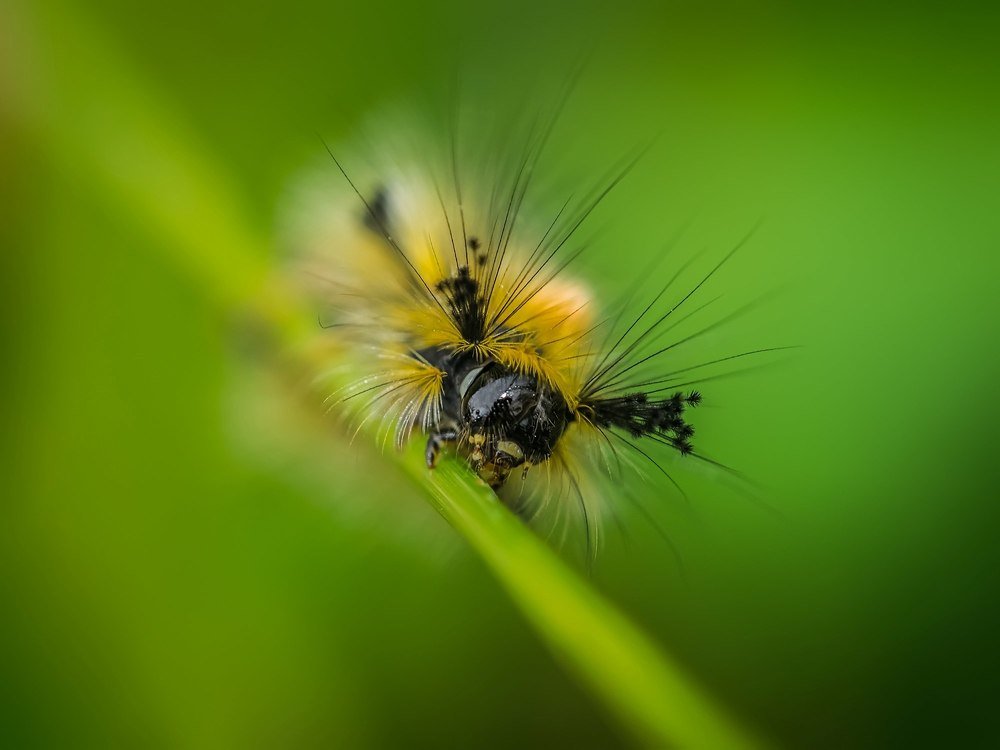 Photograph by Евгения Муравская