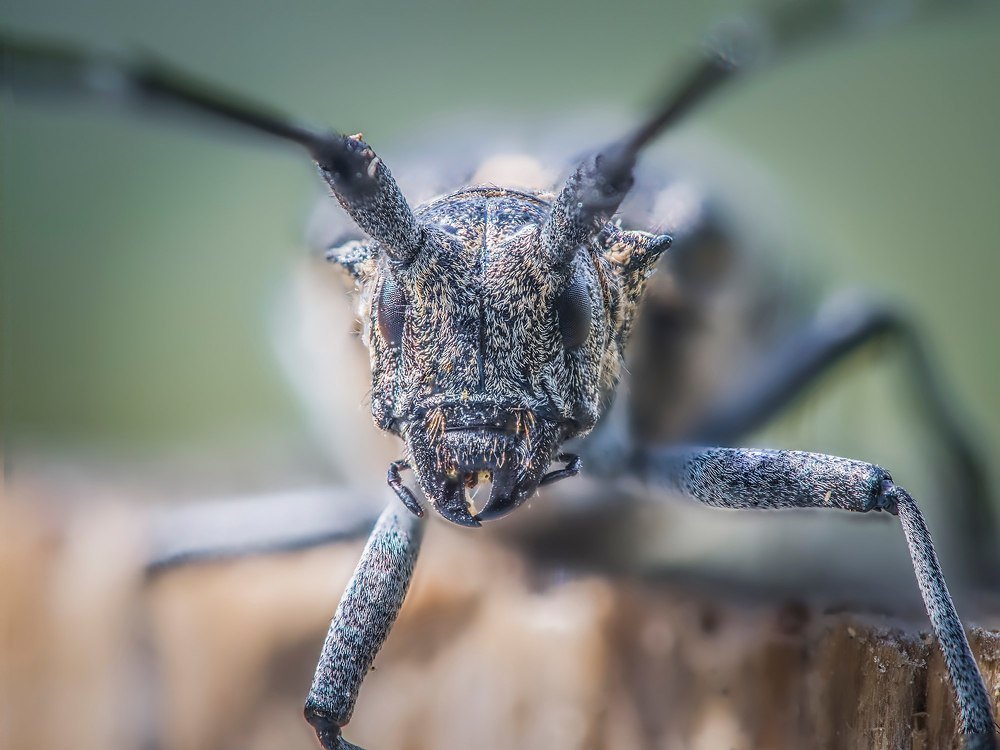 Photograph by Евгения Муравская