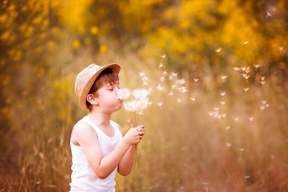 Photograph by Yulia Laterza