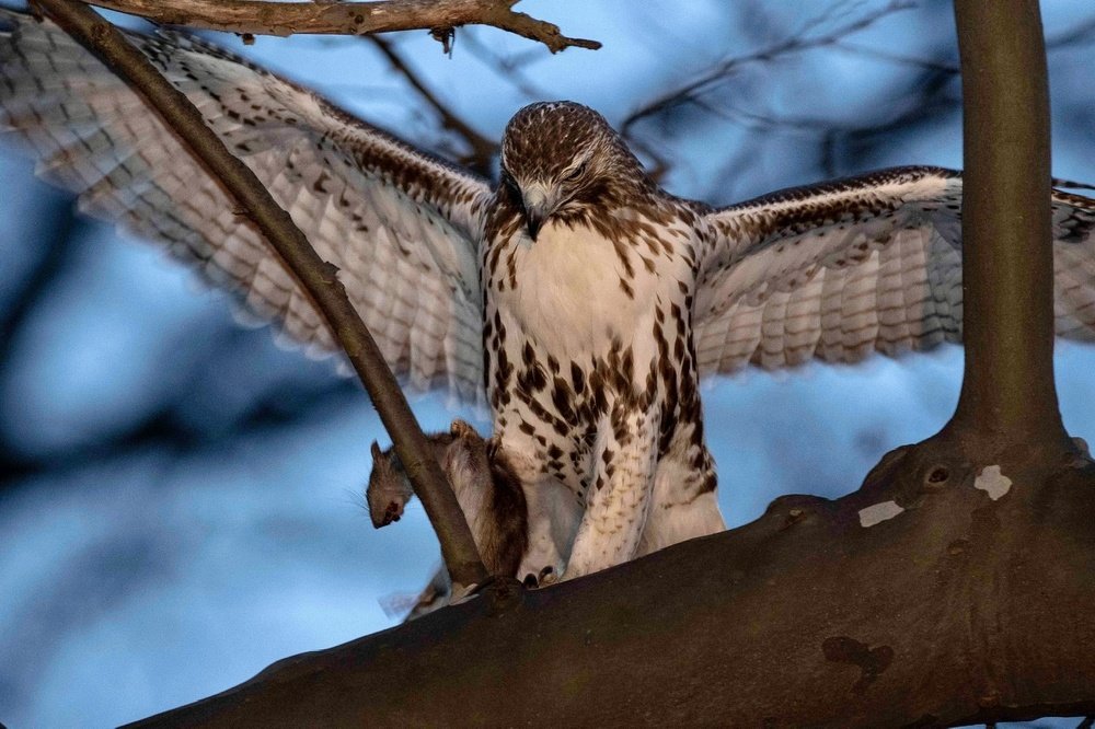 Photograph by MARCELO PRATES