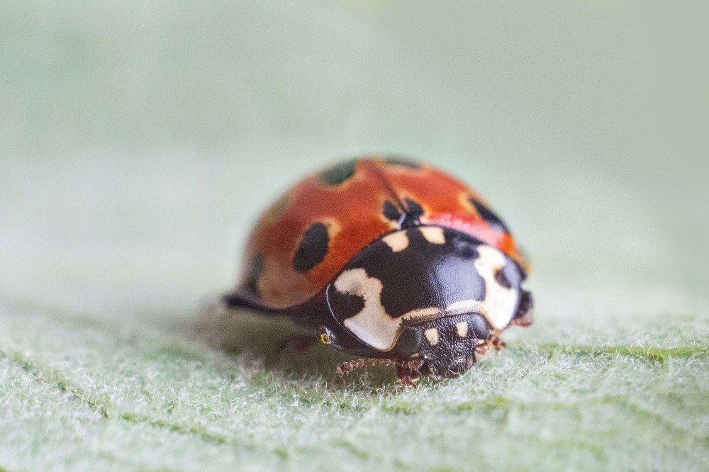 Photograph by Нурият Аллаярова