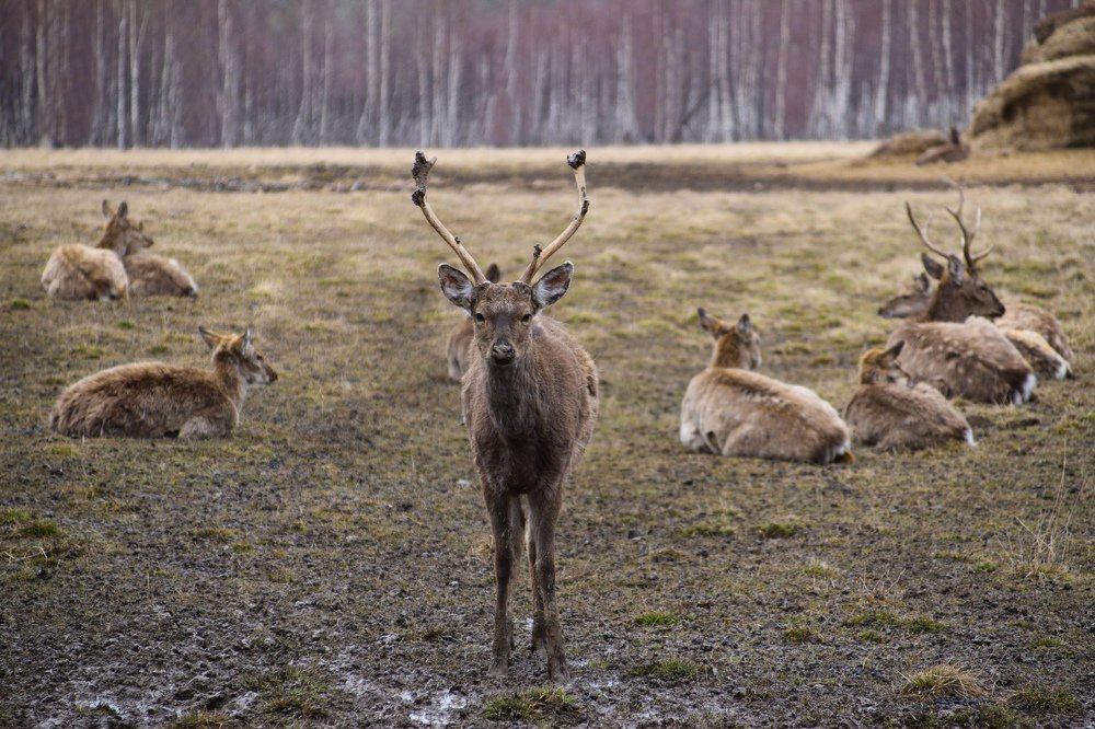 Фотография автора Анастасия Руднева