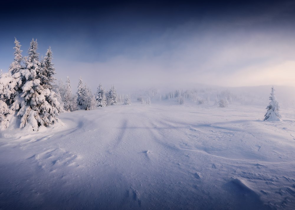 Фотография автора Виктор Пластун