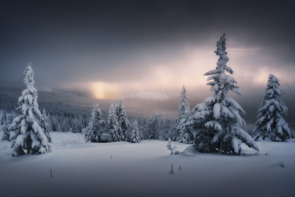 Фотография автора Виктор Пластун