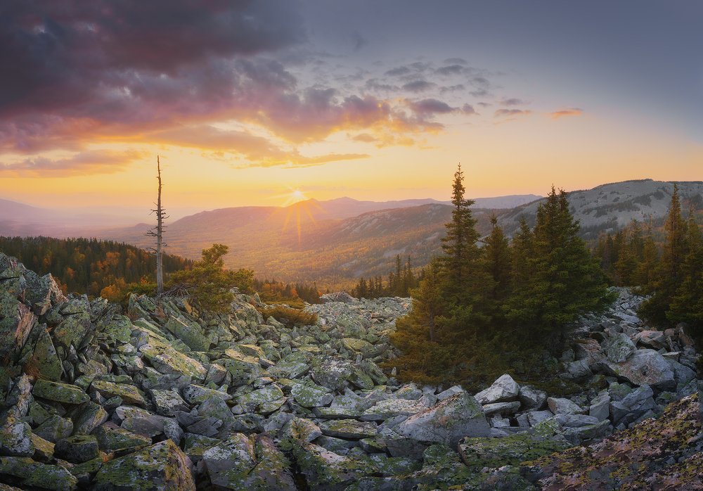 Фотография автора Виктор Пластун