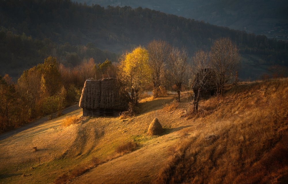 Photograph by Татьяна Бурлакина