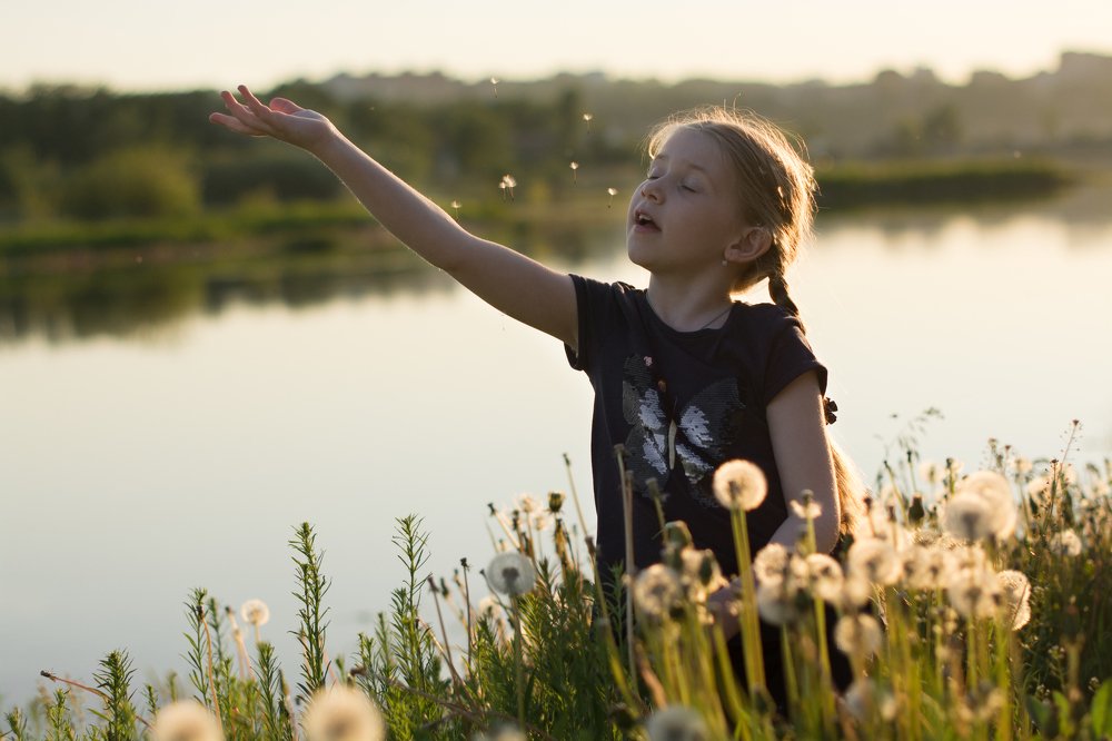 Полет одуванчиков