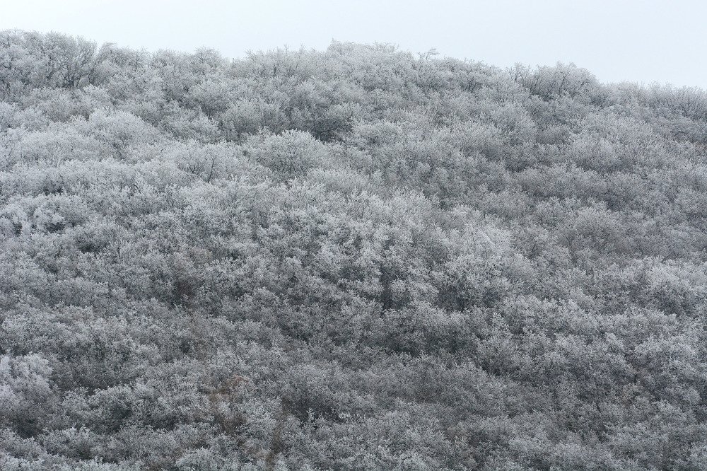 Photograph by Михаил Колтухов