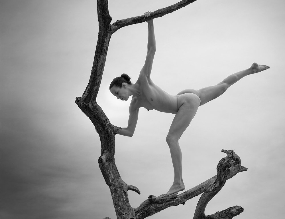 Photograph by Louis Sauter