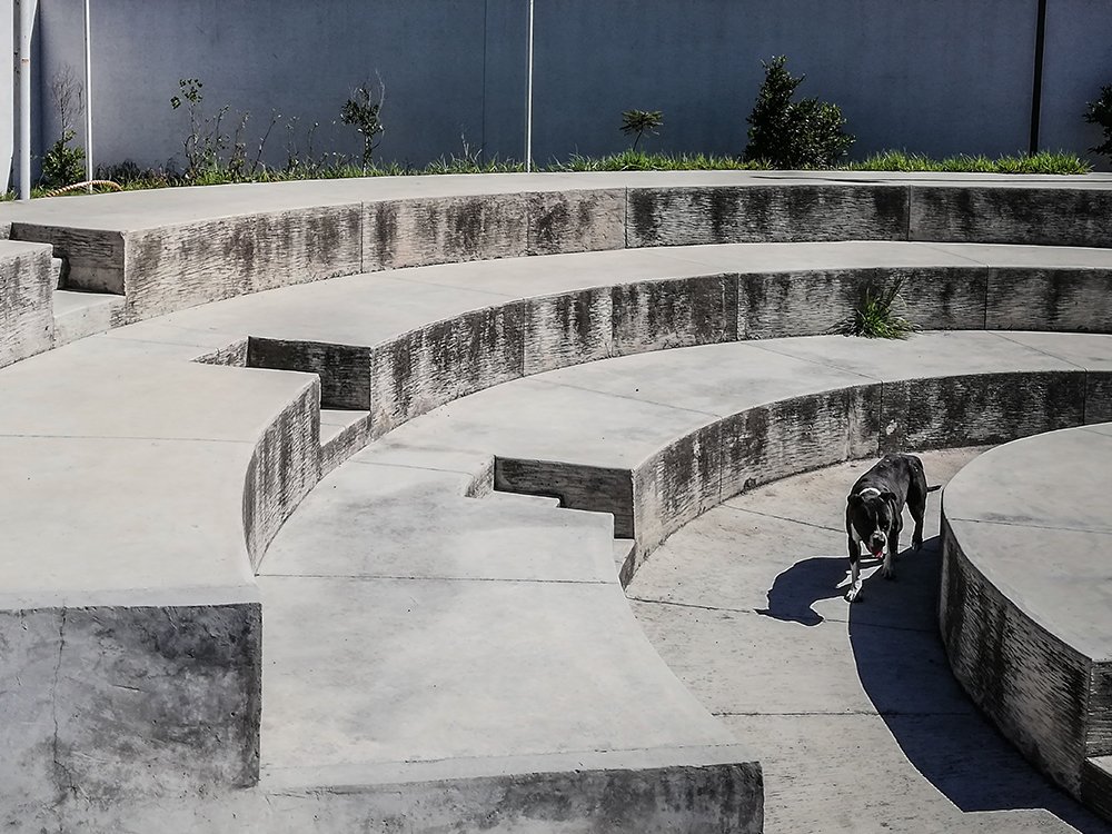 Photograph by Daniel Olivares