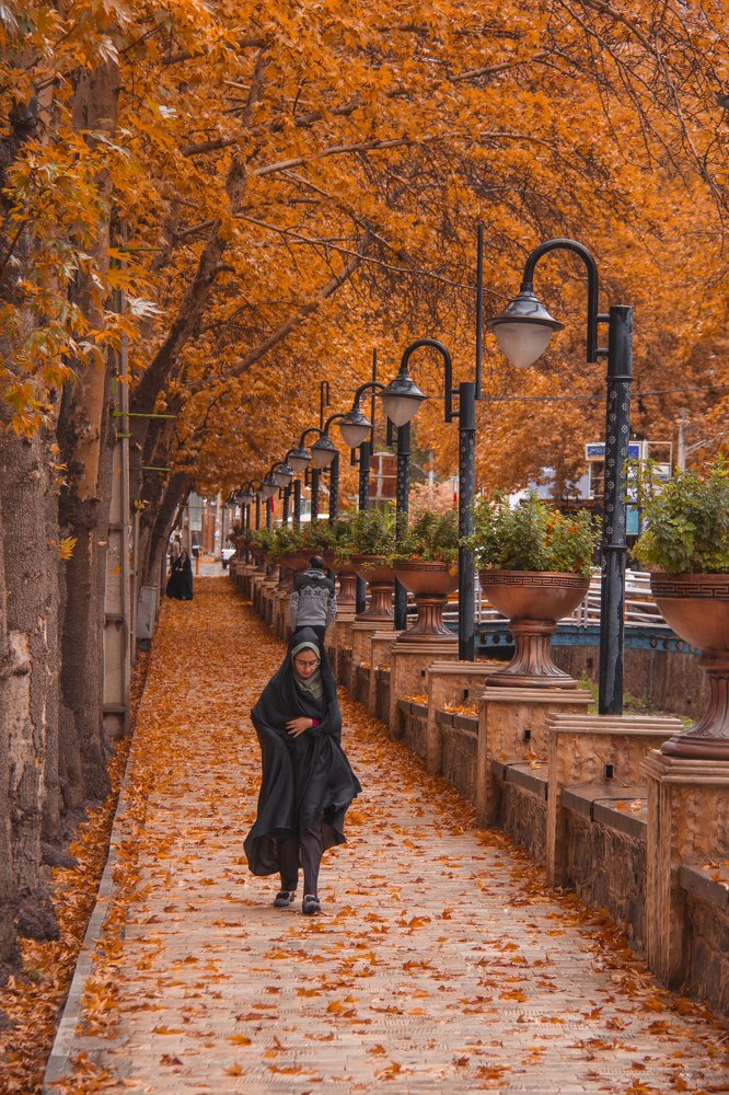 Photograph by Ali Masuomi