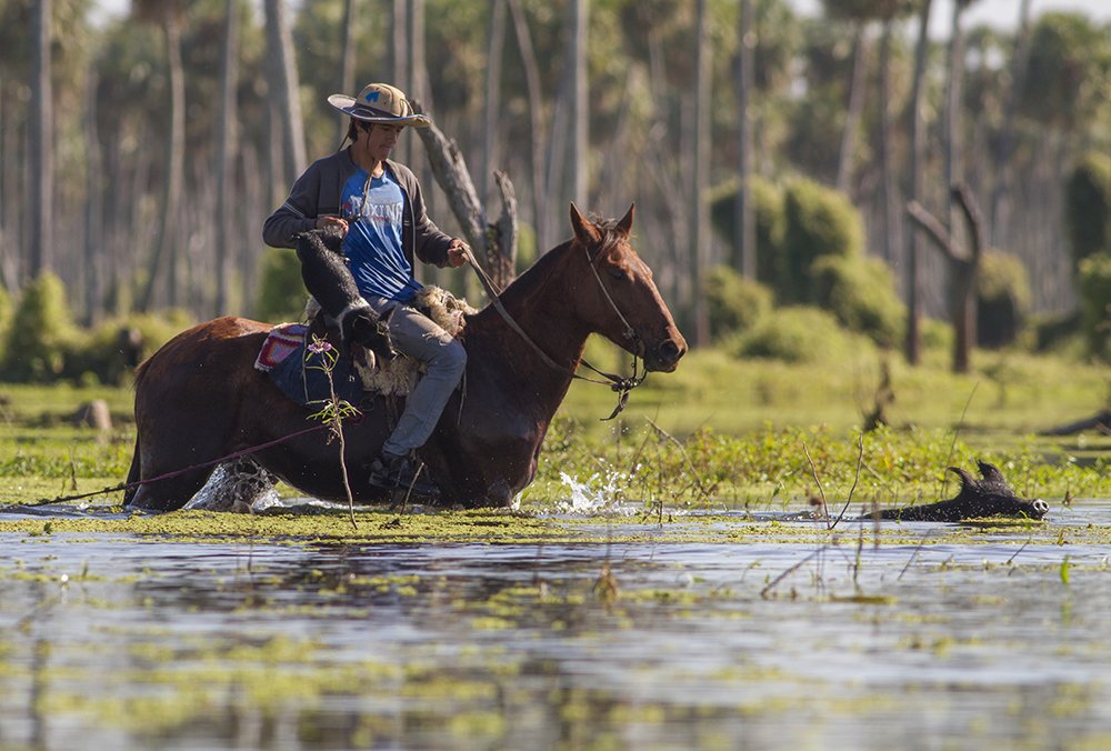 Photograph by Horacio Artero
