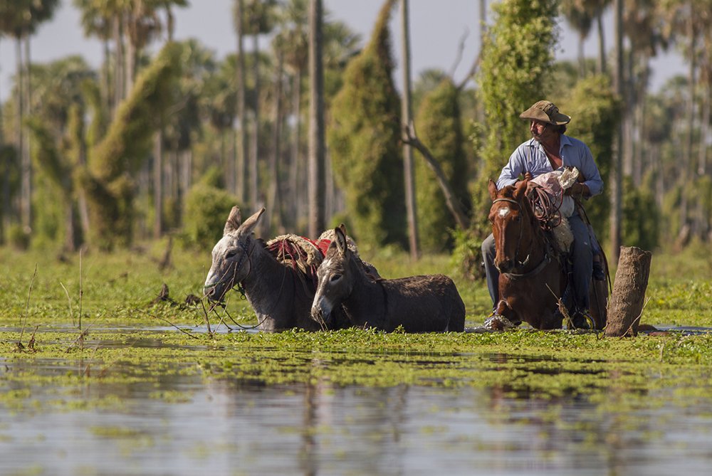 Photograph by Horacio Artero