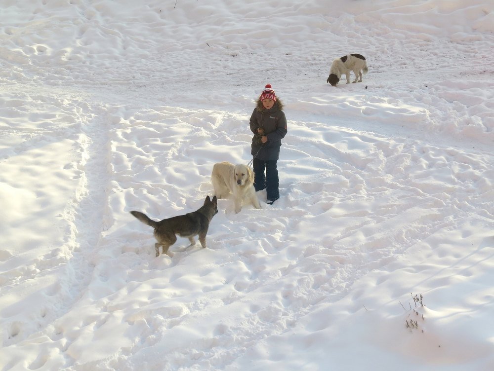 Человек собаке друг!