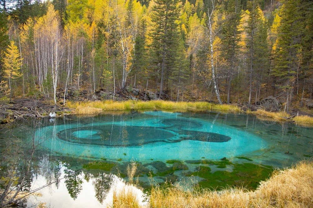 Photograph by Алексей Кустов