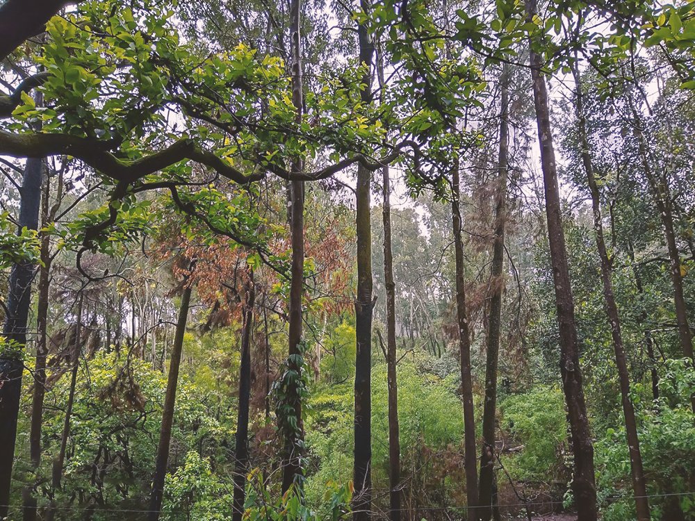 Photograph by Shweta Kambale