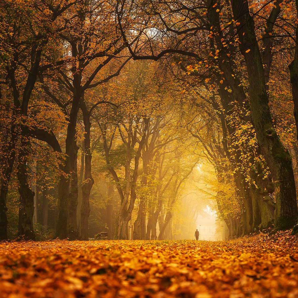 Photograph by Jiri Sebek