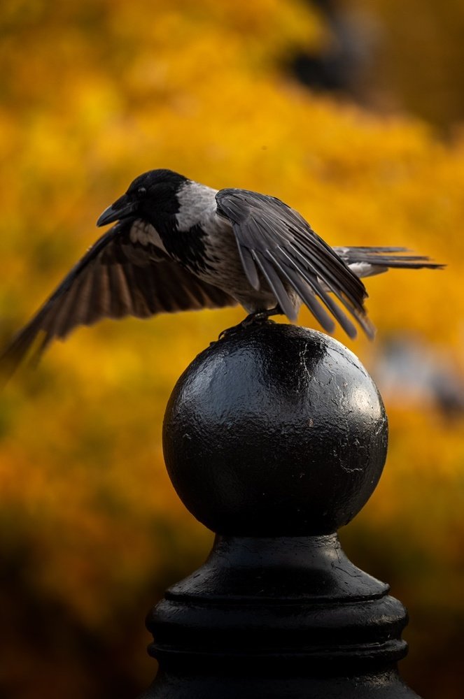 Photograph by Михаил