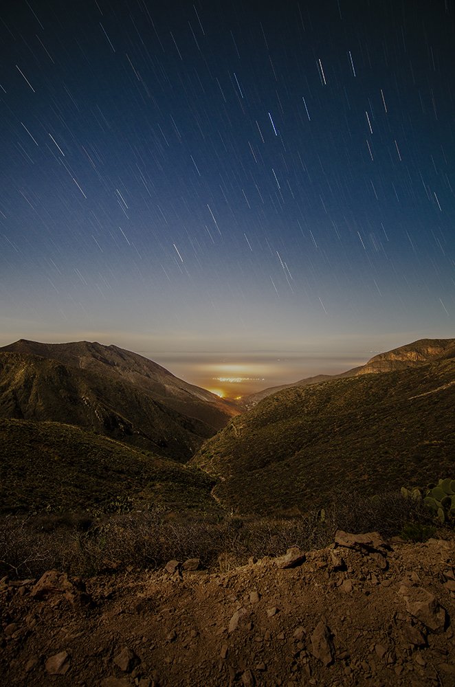 Photograph by Daniel Olivares