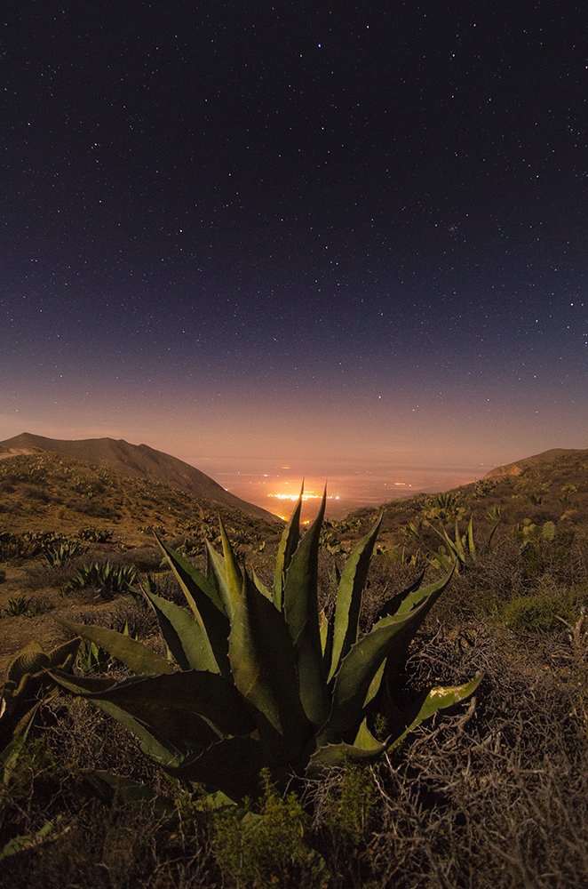 Photograph by Daniel Olivares