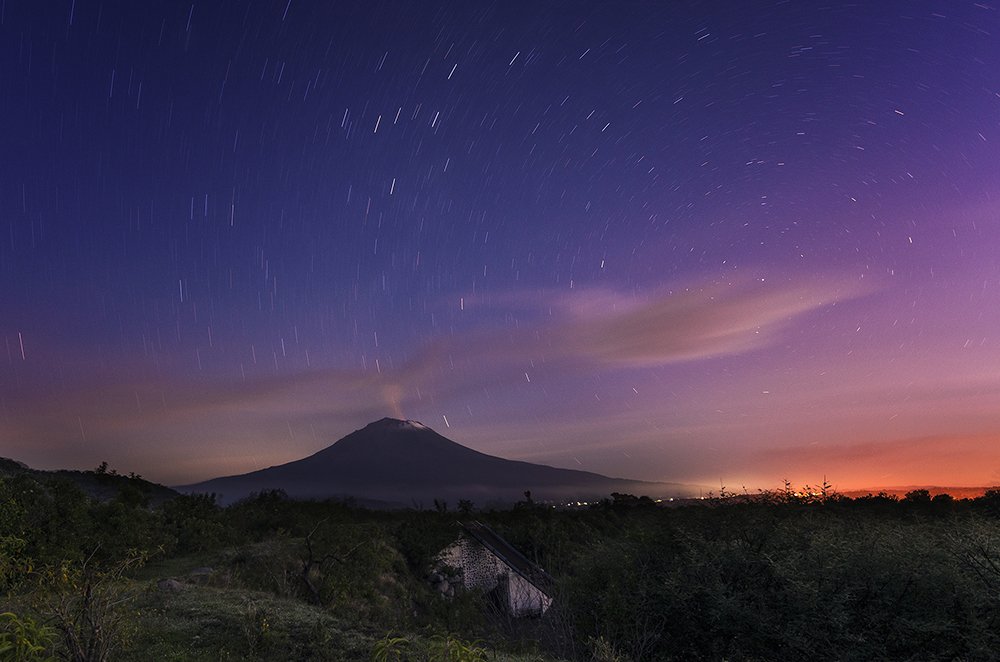 Photograph by Daniel Olivares