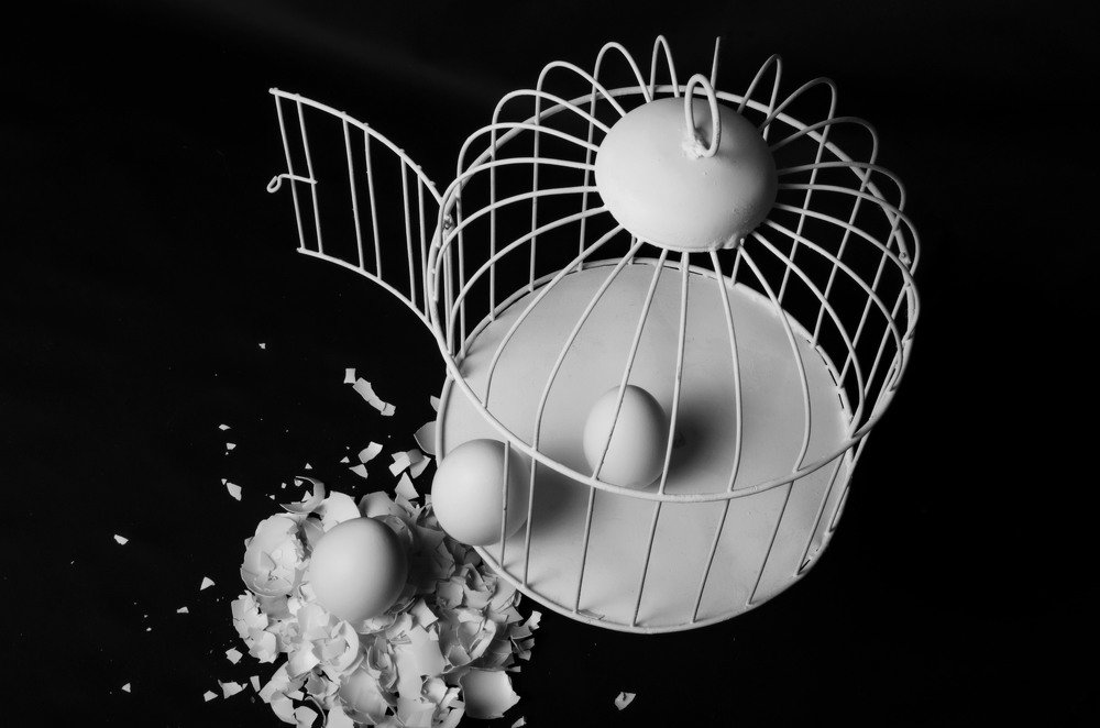 Photograph by Sandor Mejias Brito