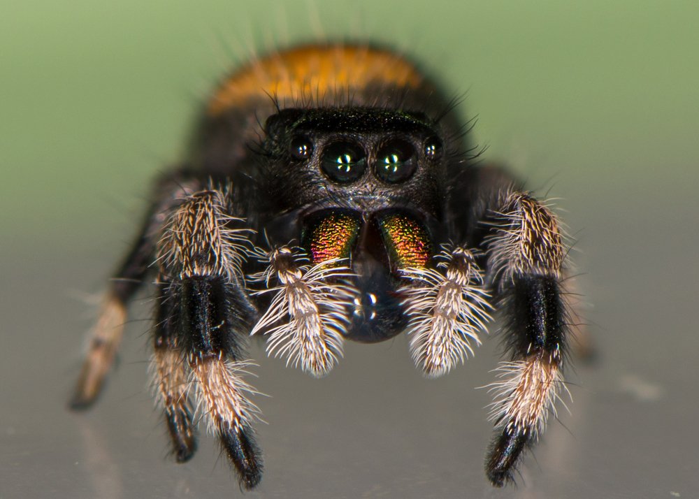 Photograph by Анастасия Третьякова