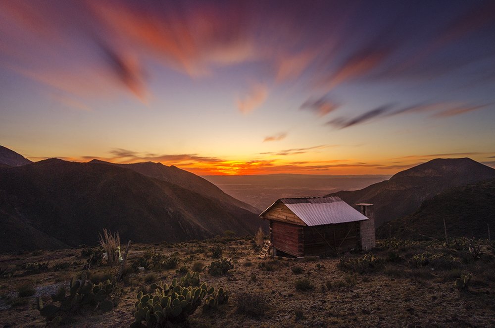 Photograph by Daniel Olivares