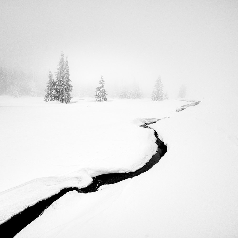 Photograph by Jiri Sebek