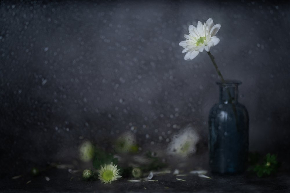 Photograph by Дарья Павликова